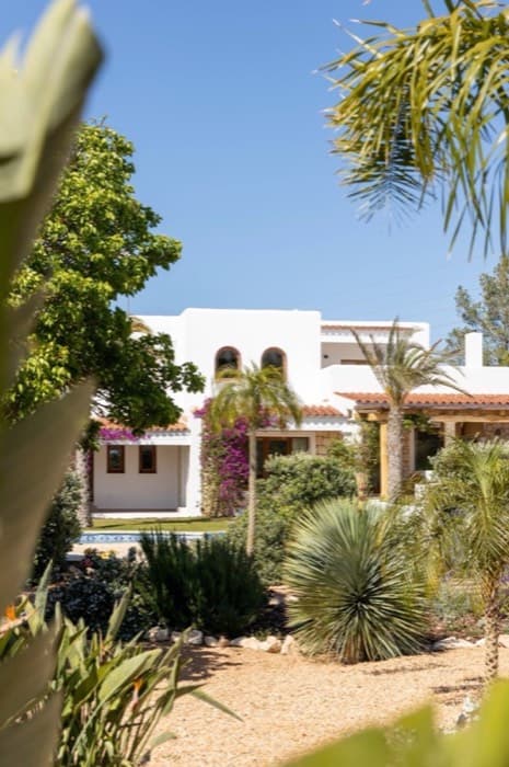 Villa 4 Palms — image 4